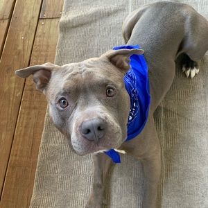 Meet your Posher, Ebers